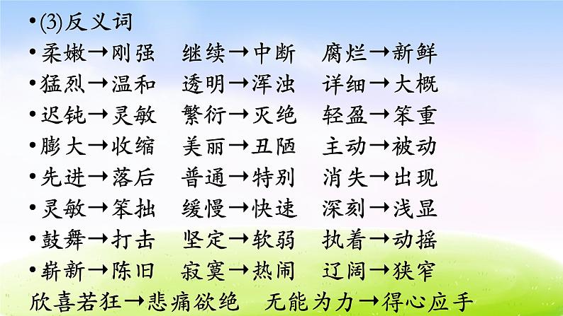 部编版四下语文期末复习之第二单元复习课件PPT第8页