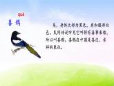 部编版一下语文精美课件6、树和喜鹊