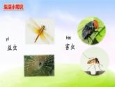 部编版一下语文精美课件识字5 动物儿歌