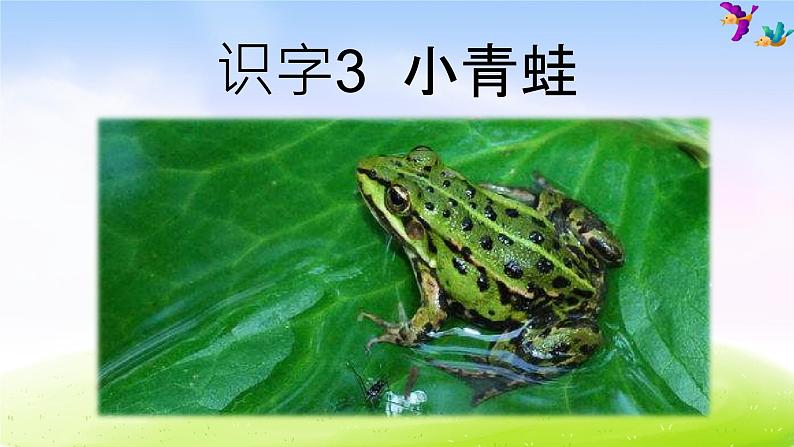 部编一下语文（精品·课堂教学课件）识字3 小青蛙02