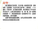 人教版四年级下册课件《语文园地一》教学课件