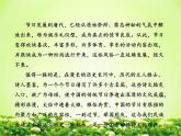 部编版语文二年级下册-03识字-02传统节日-课件01