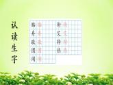 部编版语文二年级下册-03识字-02传统节日-课件03