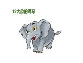 部编版语文二年级下册-07课文（六）-01大象的耳朵-课件06