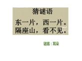 部编版语文二年级下册-07课文（六）-01大象的耳朵-课件06