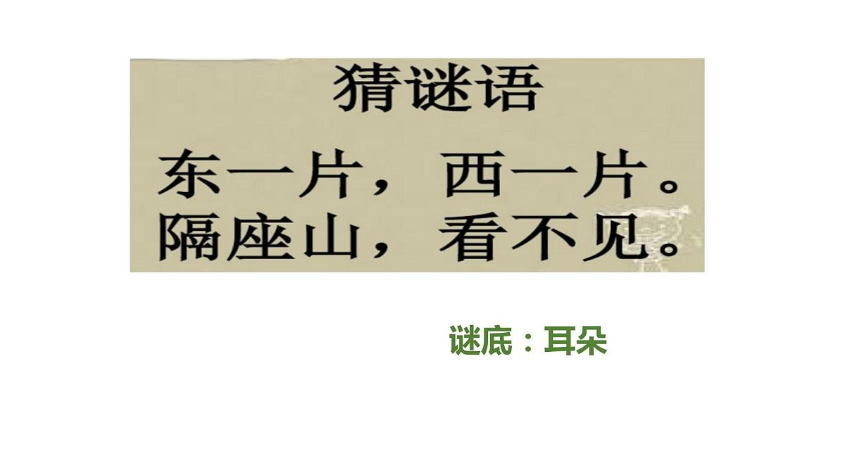 部编版语文二年级下册-07课文（六）-01大象的耳朵-课件06第2页