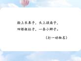 部编版语文二年级下册-07课文（六）-01大象的耳朵-课件05