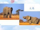 部编版语文二年级下册-07课文（六）-01大象的耳朵-课件05