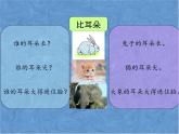 部编版语文二年级下册-07课文（六）-01大象的耳朵-课件04
