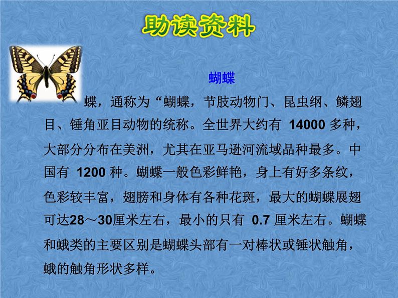 部编版语文二年级下册-07课文（六）-04小毛虫-课件02第4页