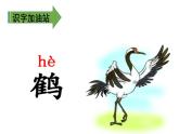 部编版语文二年级下册-08课文（七）-05语文园地八-课件02