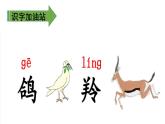 部编版语文二年级下册-08课文（七）-05语文园地八-课件02