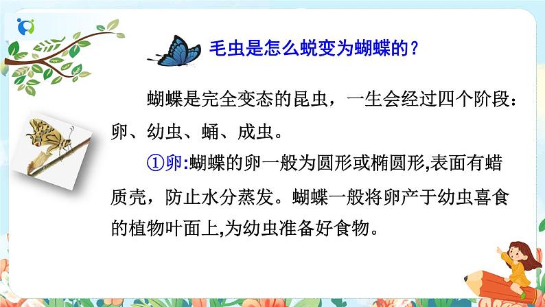 22《小毛虫》（课件+教案+音视频素材）05