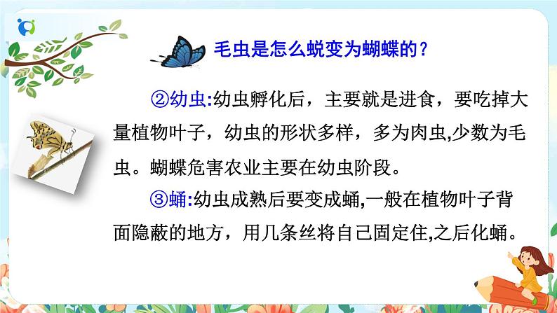 22《小毛虫》（课件+教案+音视频素材）06