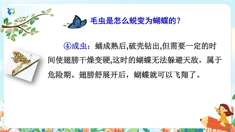 22《小毛虫》（课件+教案+音视频素材）07