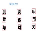 部编版语文二年级下册-03识字-03贝的故事-课件04