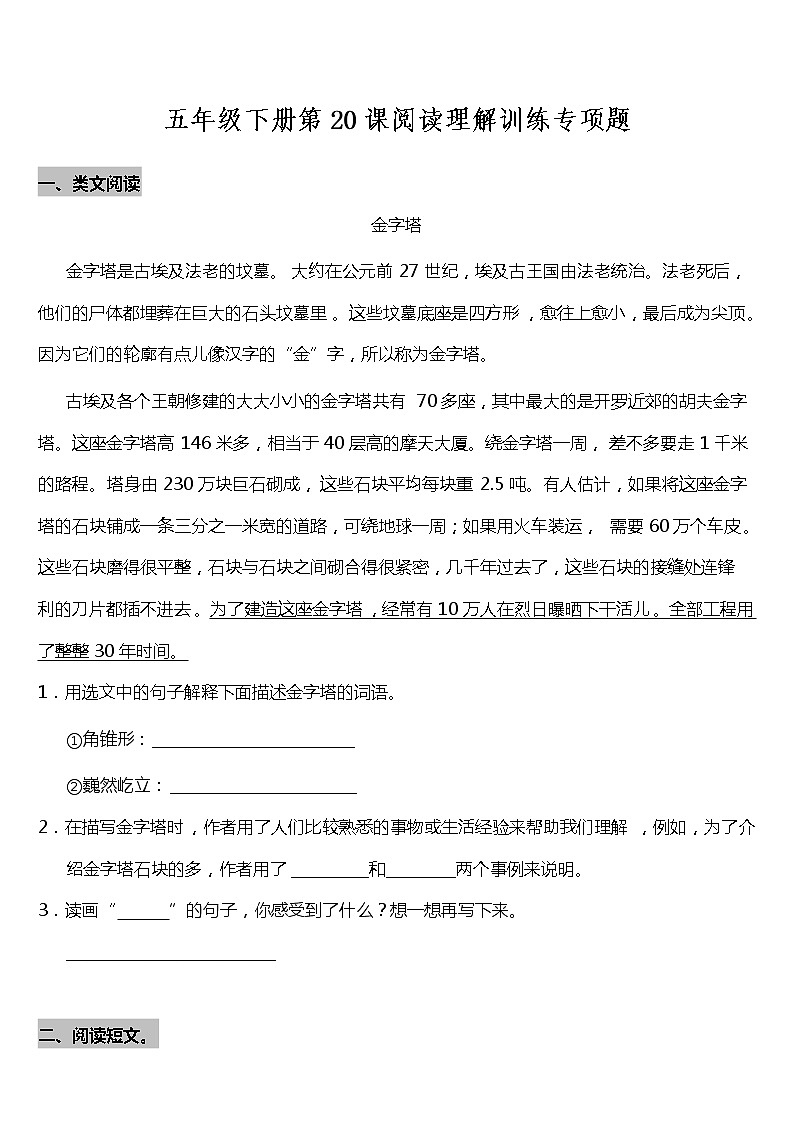 部编版小学语文五年级下册第20课《金字塔》阅读专项训练题（含答案）01