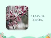 部编版语文五年级下册 4 梅花魂课件PPT