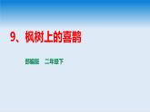 部编版语文二年级9、枫树上的喜鹊 课件+课后练习