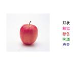 06、《水果家园》课件PPT