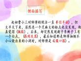 第五单元 习作例文 课件+教案