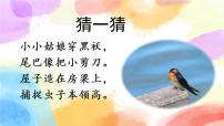 小学语文人教部编版三年级下册2 燕子一等奖ppt课件