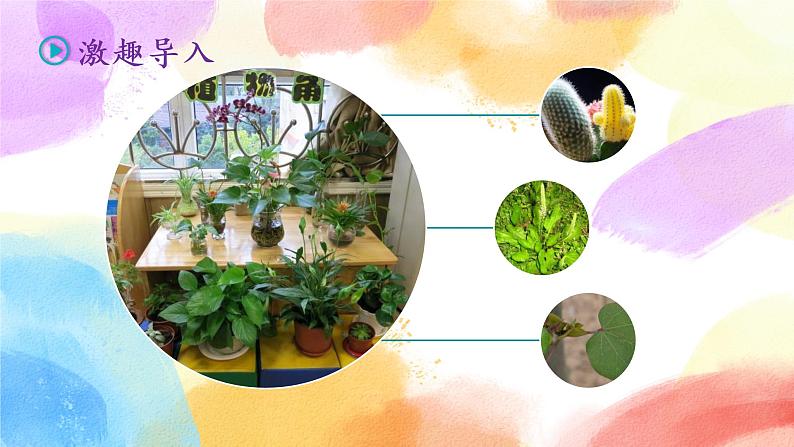 第一单元 习作 我的植物朋友  课件（送教案含反思）02