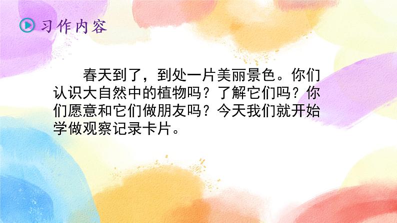 第一单元 习作 我的植物朋友  课件（送教案含反思）04