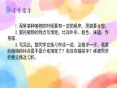 第一单元 习作 我的植物朋友  课件（送教案含反思）