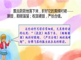 第一單元 語文園地一  課件（送教案含反思）