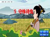 5 守株待兔  课件（送教案含反思）