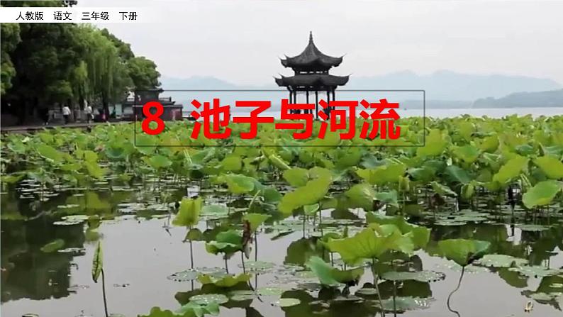 8 池子与河流 课件第2页