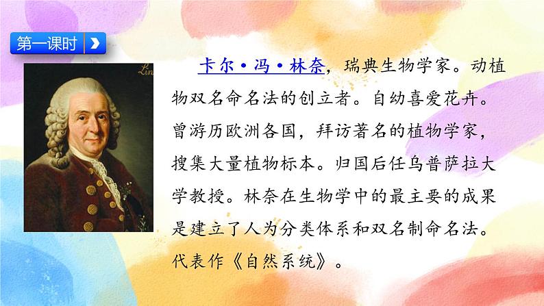 13 花钟  课件（送教案含反思）04