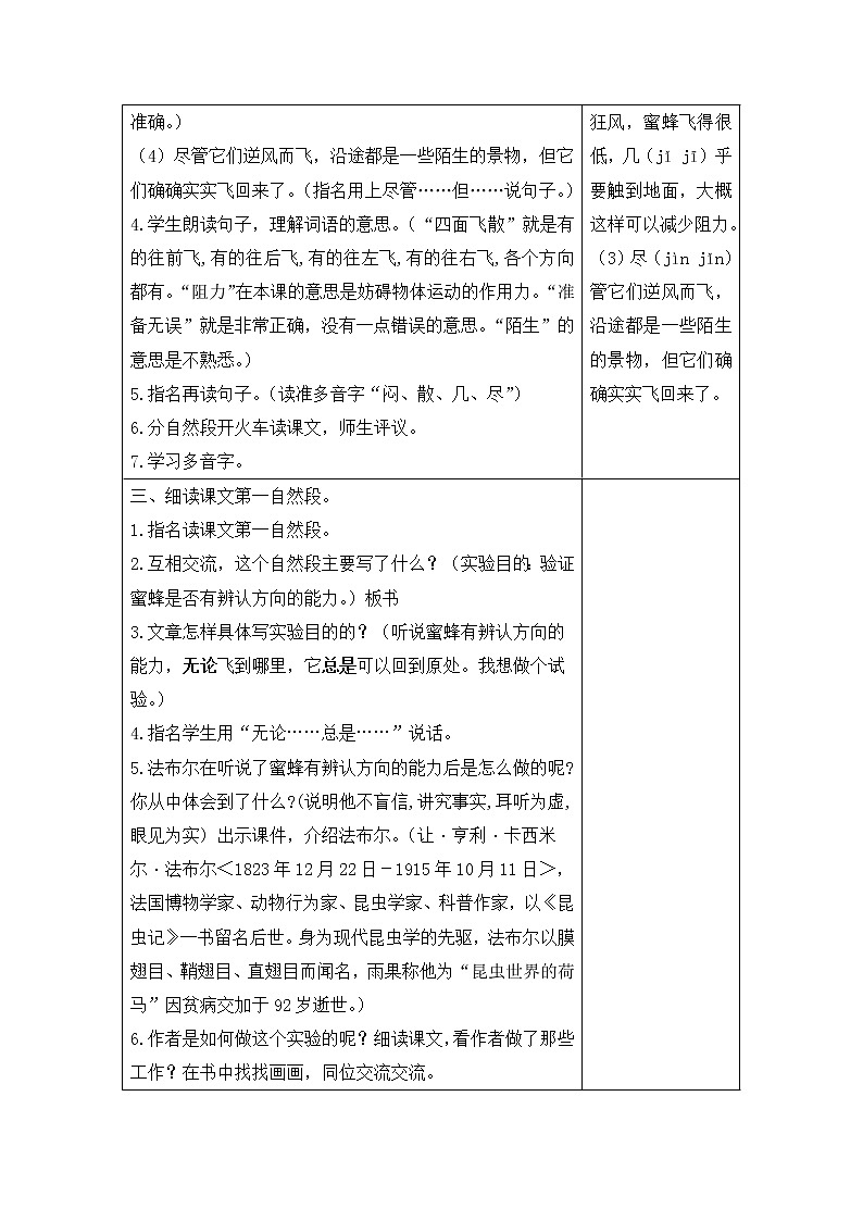 14 蜜蜂  课件（送教案含反思）03