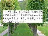 17 我變成了一棵樹  課件（送教案含反思）