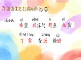 17 我變成了一棵樹  課件（送教案含反思）