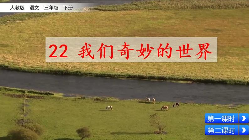 22 我们奇妙的世界  课件（送教案含反思）02