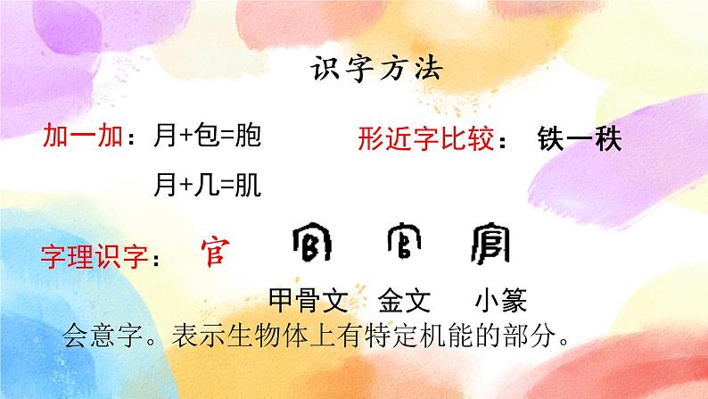 23 海底世界  课件（送教案含反思）08