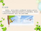 部编版四年级上册《夜间飞行的秘密》PPT完美版 课件