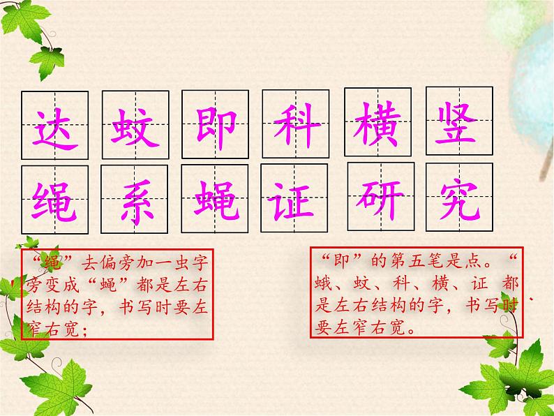 部编版四年级上册《夜间飞行的秘密》PPT完美版 课件04