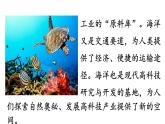 23.海底世界  课件 素材