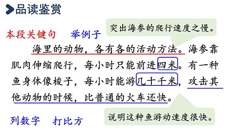 23.海底世界  课件 素材03