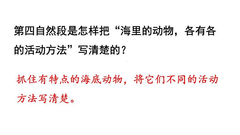 23.海底世界  课件 素材06