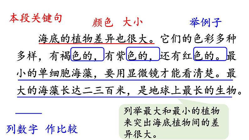 23.海底世界  课件 素材08