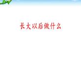 部编版语文二年级下册-03识字-05口语交际：我长大了做什么-课件03