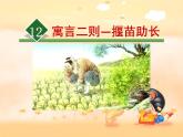 部编版语文二年级下册-05课文（四）-01寓言两则-课件03