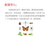 部编版语文三年级下-01第一单元-04昆虫备忘录–课件01