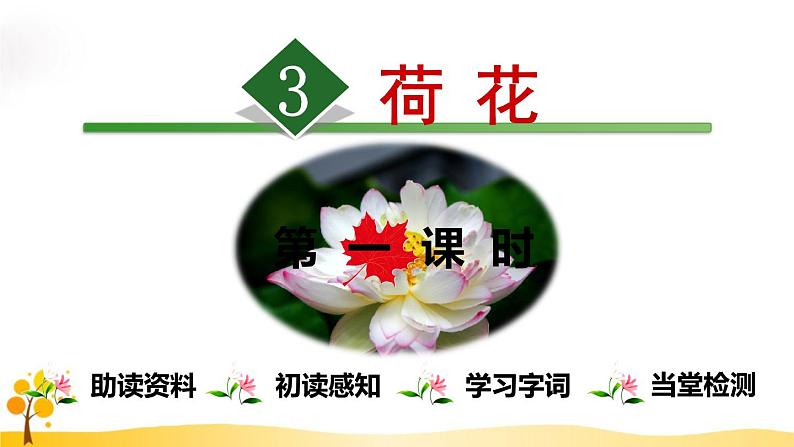 部编版语文三年级下-01第一单元-03荷花–课件03第1页