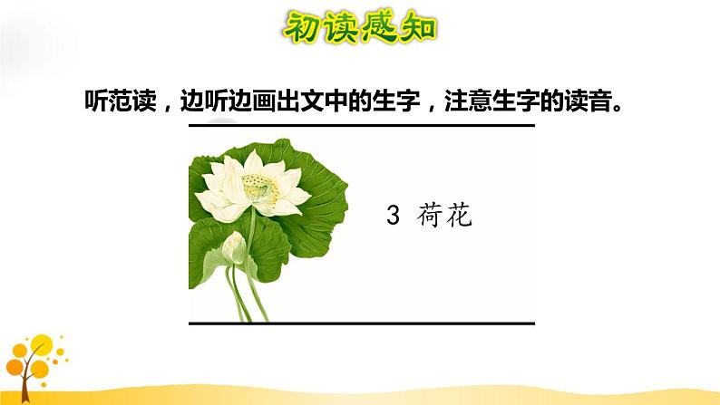 部编版语文三年级下-01第一单元-03荷花–课件03第7页