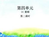 部编版语文三年级下-04第四单元-02蜜蜂-课件03